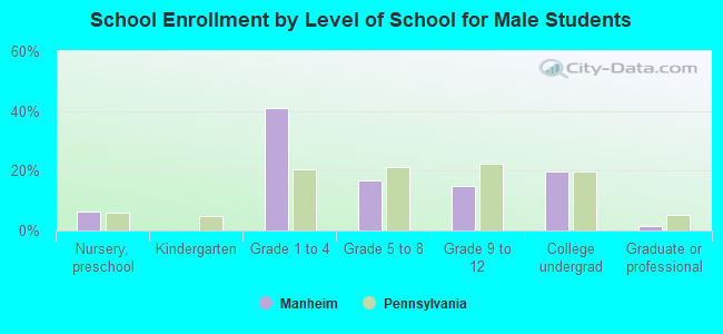 School Enrollment by Level of School for Male Students