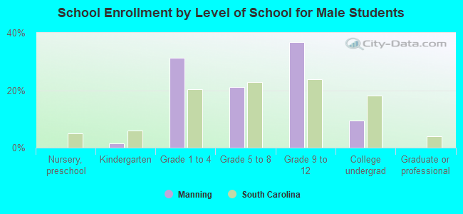 School Enrollment by Level of School for Male Students