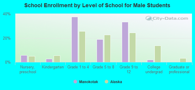 School Enrollment by Level of School for Male Students