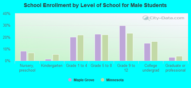 School Enrollment by Level of School for Male Students