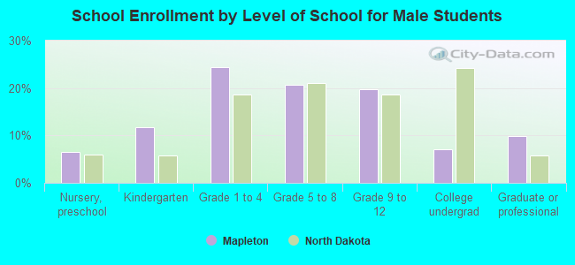 School Enrollment by Level of School for Male Students