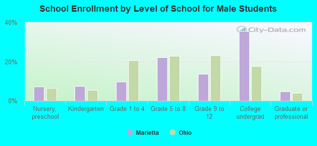 School Enrollment by Level of School for Male Students