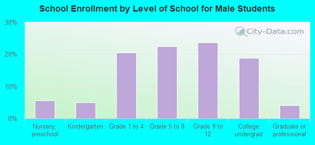 School Enrollment by Level of School for Male Students