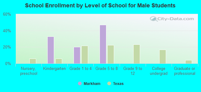 School Enrollment by Level of School for Male Students