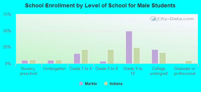 School Enrollment by Level of School for Male Students