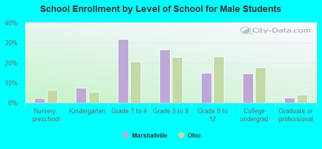 School Enrollment by Level of School for Male Students