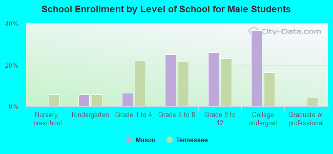 School Enrollment by Level of School for Male Students