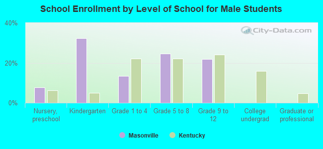 School Enrollment by Level of School for Male Students