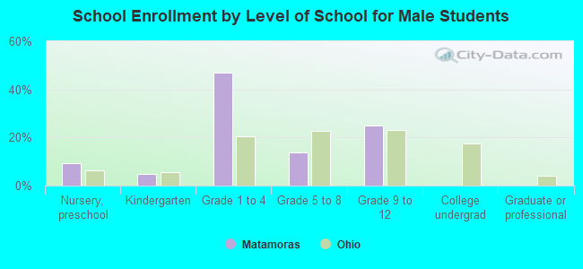 School Enrollment by Level of School for Male Students