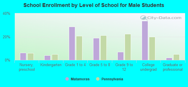 School Enrollment by Level of School for Male Students