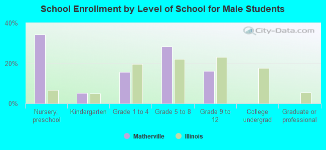 School Enrollment by Level of School for Male Students