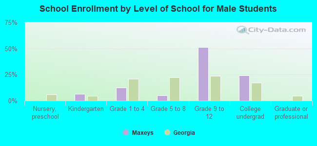 School Enrollment by Level of School for Male Students