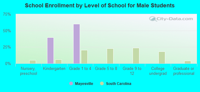 School Enrollment by Level of School for Male Students