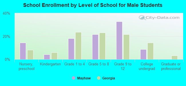 School Enrollment by Level of School for Male Students