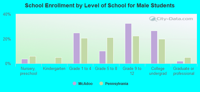 School Enrollment by Level of School for Male Students