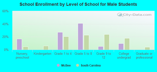 School Enrollment by Level of School for Male Students