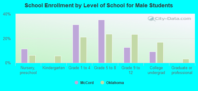 School Enrollment by Level of School for Male Students