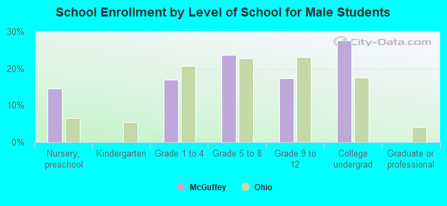 School Enrollment by Level of School for Male Students