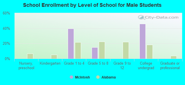 School Enrollment by Level of School for Male Students