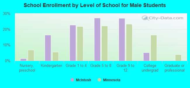 School Enrollment by Level of School for Male Students