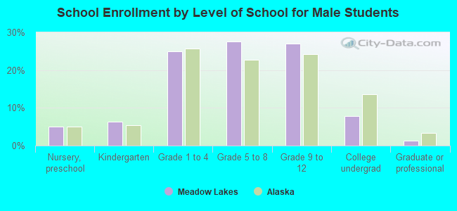 School Enrollment by Level of School for Male Students