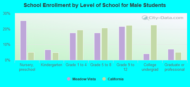 School Enrollment by Level of School for Male Students