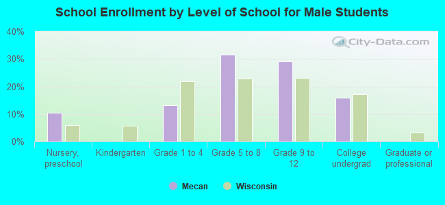 School Enrollment by Level of School for Male Students