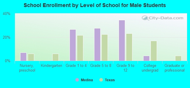 School Enrollment by Level of School for Male Students