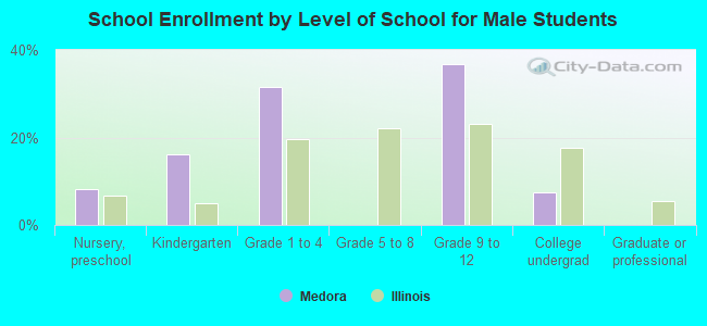 School Enrollment by Level of School for Male Students