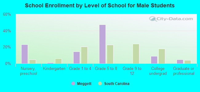 School Enrollment by Level of School for Male Students