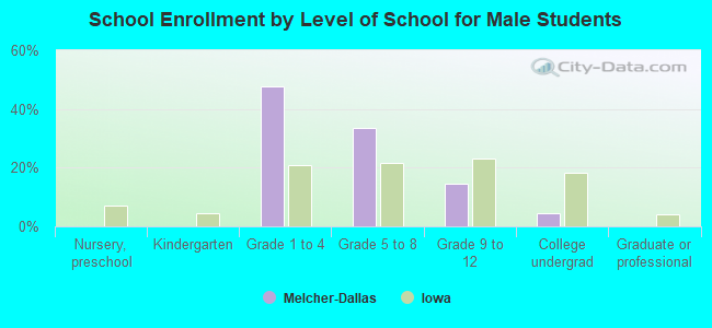 School Enrollment by Level of School for Male Students