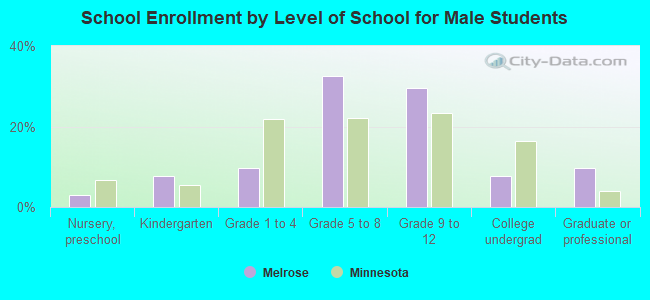 School Enrollment by Level of School for Male Students