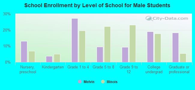 School Enrollment by Level of School for Male Students