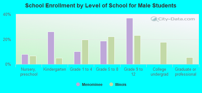 School Enrollment by Level of School for Male Students