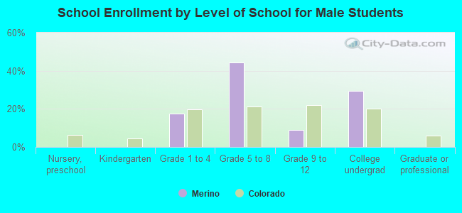 School Enrollment by Level of School for Male Students