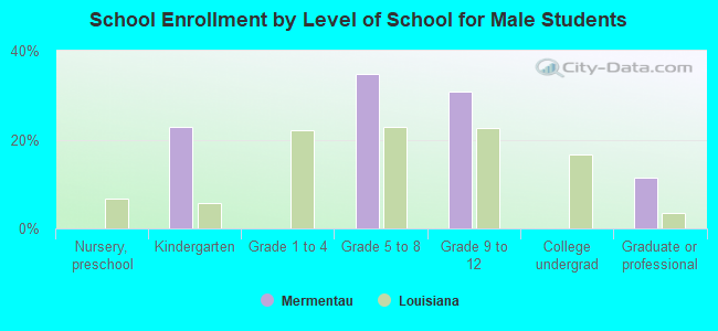 School Enrollment by Level of School for Male Students