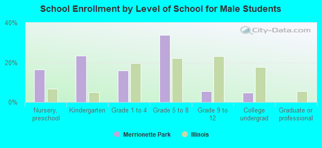 School Enrollment by Level of School for Male Students