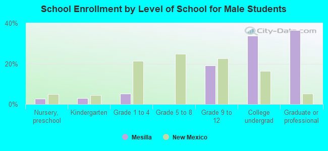 School Enrollment by Level of School for Male Students