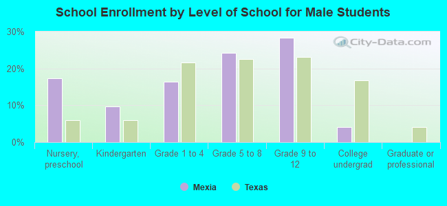 School Enrollment by Level of School for Male Students