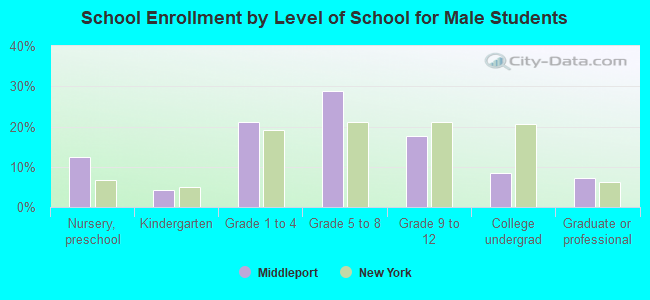 School Enrollment by Level of School for Male Students