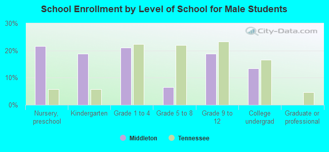 School Enrollment by Level of School for Male Students