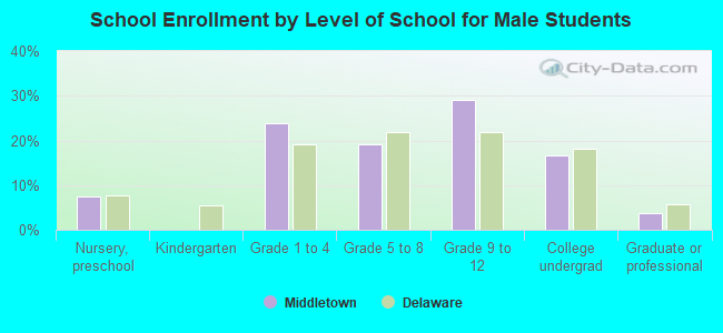 School Enrollment by Level of School for Male Students