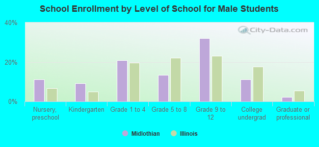 School Enrollment by Level of School for Male Students