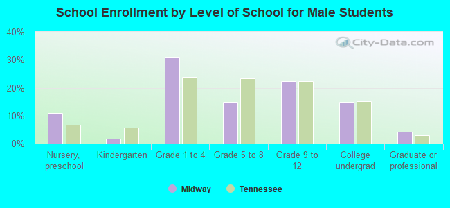 School Enrollment by Level of School for Male Students