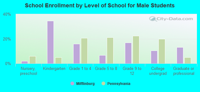 School Enrollment by Level of School for Male Students