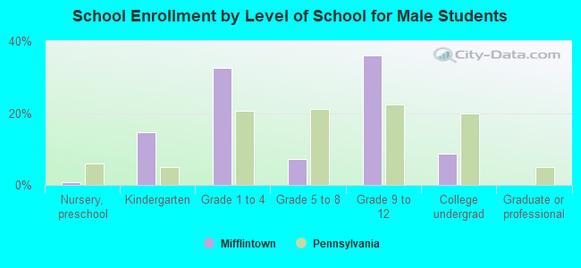 School Enrollment by Level of School for Male Students