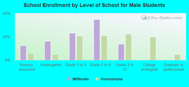 School Enrollment by Level of School for Male Students