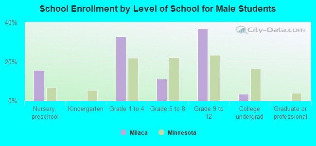 School Enrollment by Level of School for Male Students