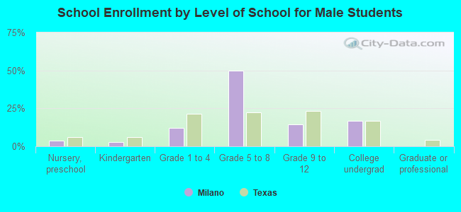 School Enrollment by Level of School for Male Students