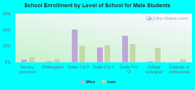 School Enrollment by Level of School for Male Students